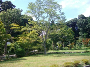 d0007913_1859996.jpg