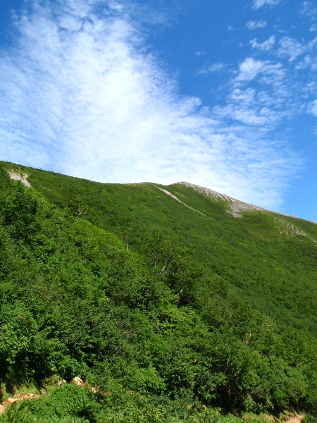 鹿島槍ヶ岳縦走1-柏原新道_c0177814_14163544.jpg