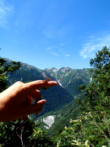 鹿島槍ヶ岳縦走1-柏原新道_c0177814_1439927.jpg