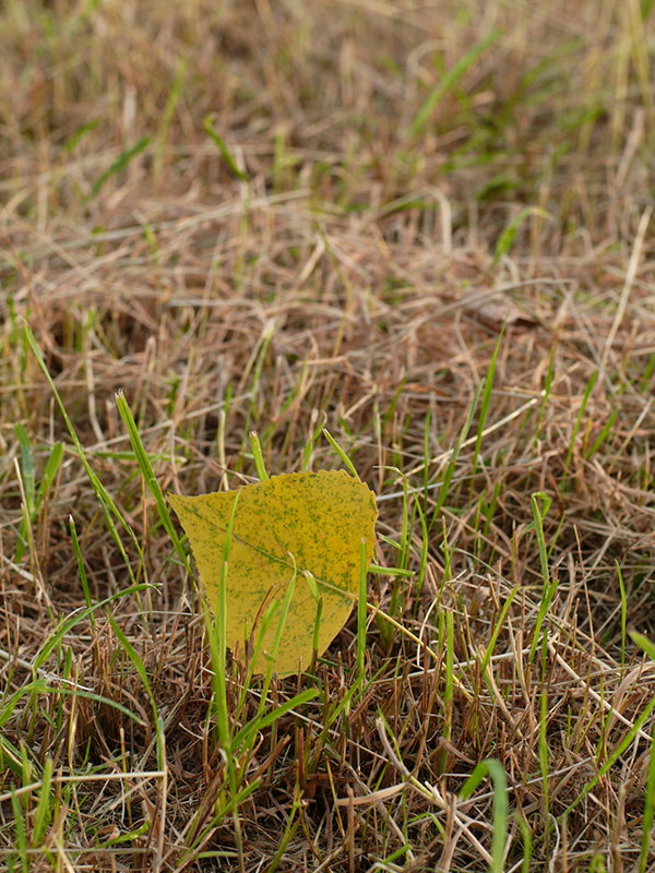 b0148617_165248.jpg