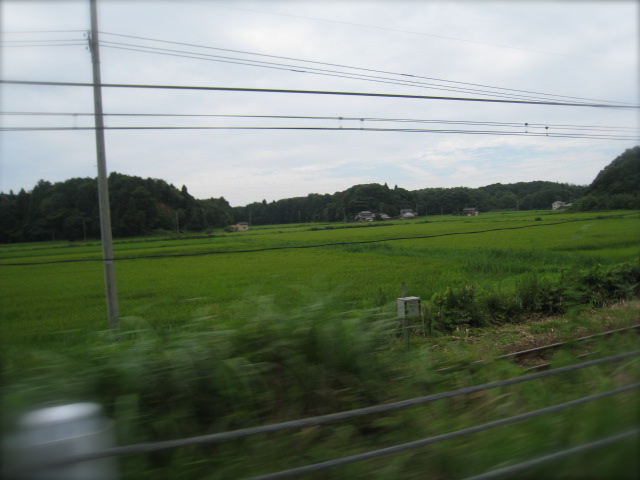 c0120817_8595673.jpg