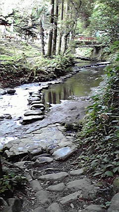 a0044019_18435143.jpg