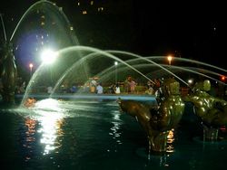 f0200433_41223.jpg