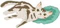 e0156036_2034199.gif