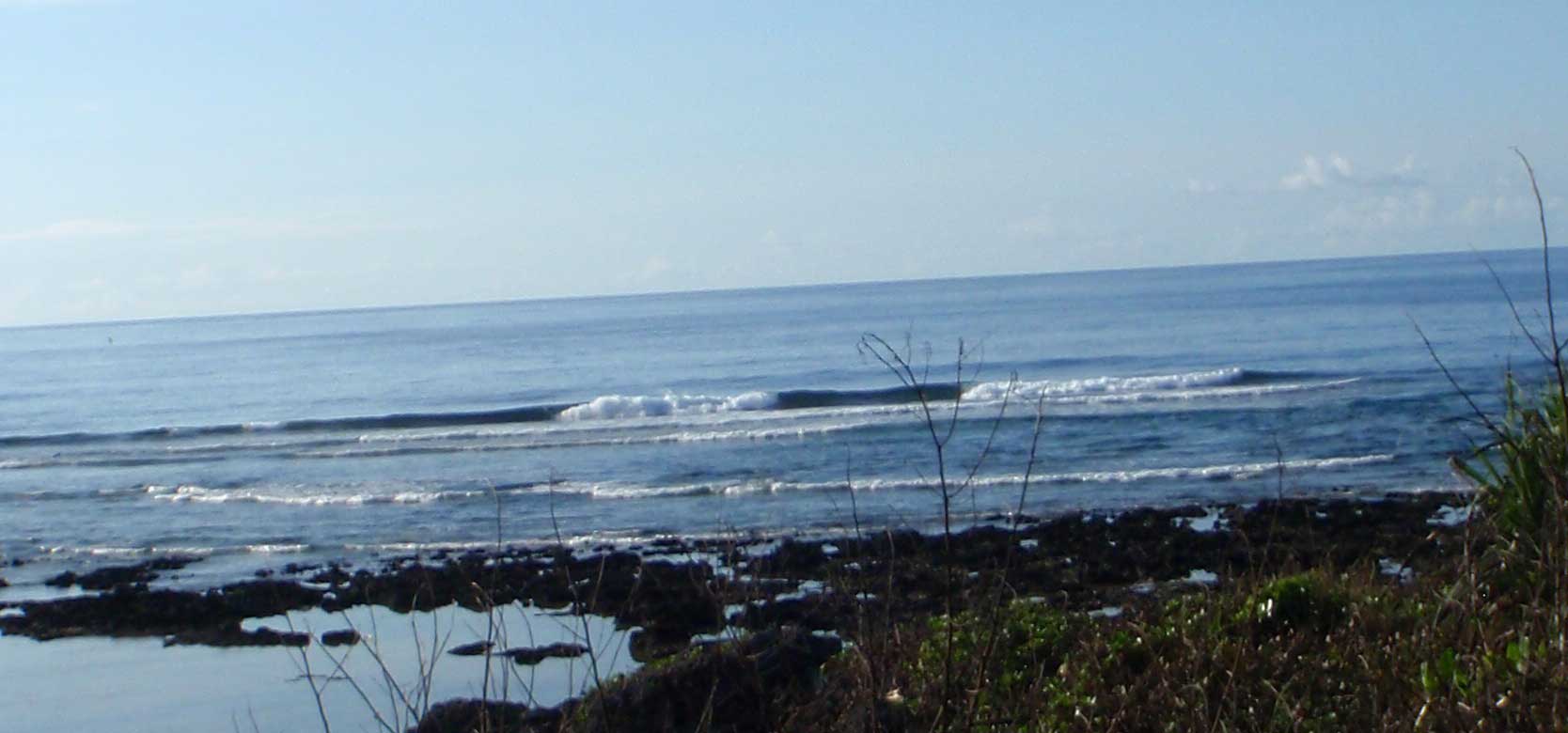 a0122740_939127.jpg