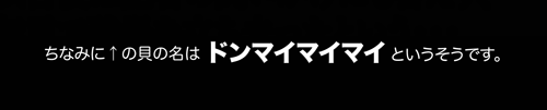 8月25日(火)【横浜−阪神】(横浜)3ー4○_f0105741_1014549.gif