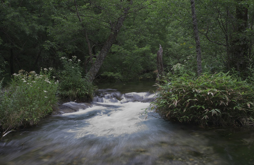 e0163149_10345662.jpg