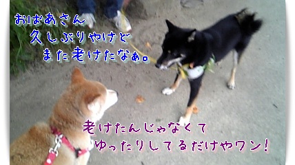夏の終わりに_c0049950_21134826.jpg