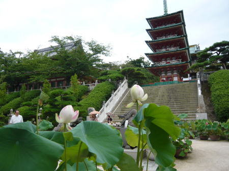 f0186753_13514460.jpg