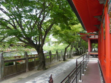 f0186753_13531036.jpg