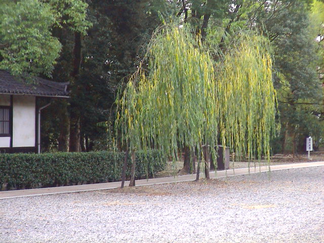 京都てくてく その2。_e0060555_14382492.jpg