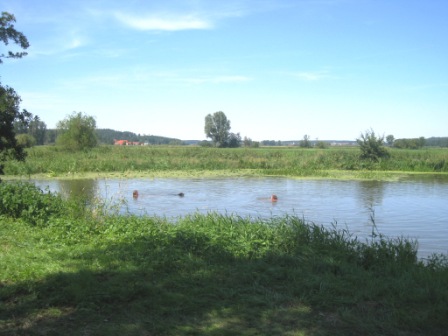 f0116158_21111.jpg
