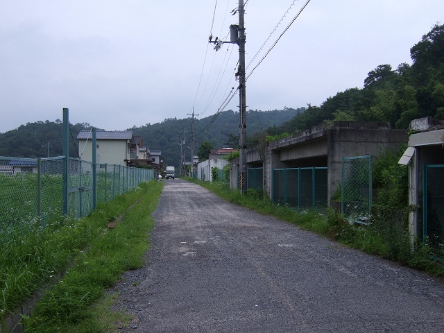 b0095061_72699.jpg