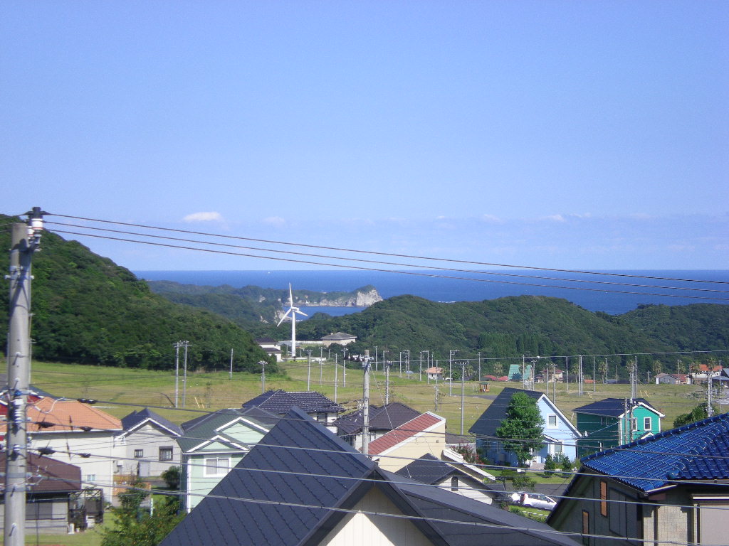 ２００９年８月２６日（水）夏の終わりの収穫！_f0060461_15245846.jpg