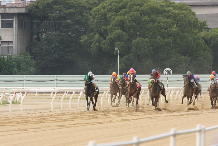 2009年8月16日（日） 福山競馬 8R C9 イ その1_a0077663_17555035.jpg