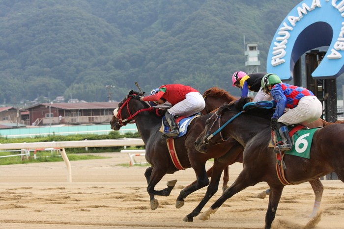 2009年8月16日(日) 福山競馬 8R C9 イ その2_a0077663_18241891.jpg