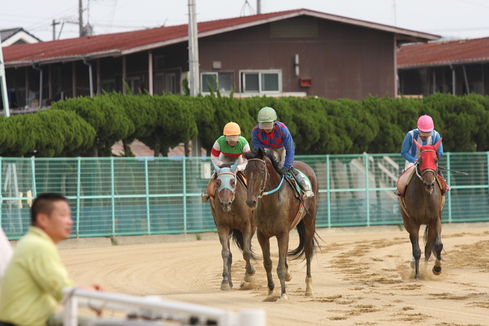 2009年8月16日(日) 福山競馬 8R C9 イ その2_a0077663_18243359.jpg