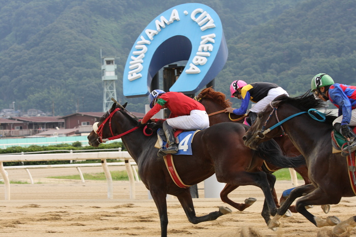 2009年8月16日（日） 福山競馬 8R C9 イ その2_a0077663_1824583.jpg