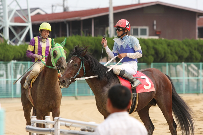 2009年8月16日(日) 福山競馬 8R C9 イ その2_a0077663_18251084.jpg