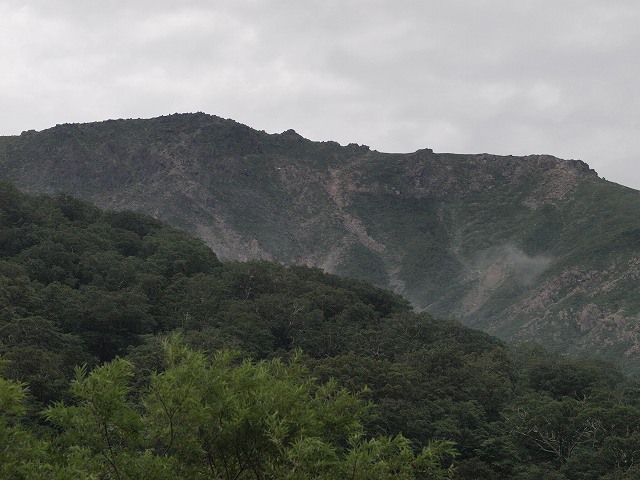 d0025568_14403458.jpg