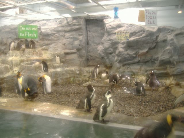 c0163673_03119.jpg