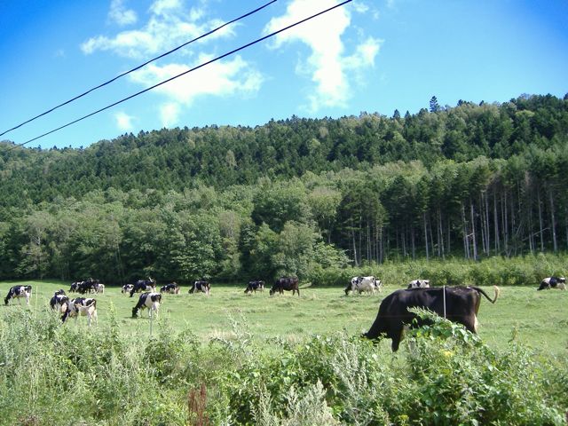c0163673_0675.jpg