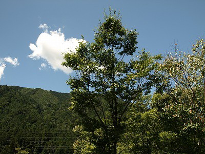 板取温泉(バーデェハウス)周辺の風景_d0054276_20255845.jpg