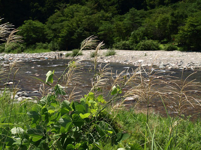 板取温泉(バーデェハウス)周辺の風景_d0054276_20274793.jpg