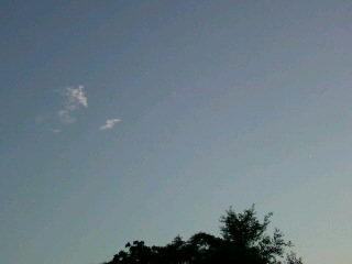f0209080_0143964.jpg