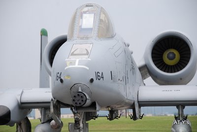 b0107483_1391246.jpg