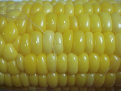 c0096685_2304236.jpg