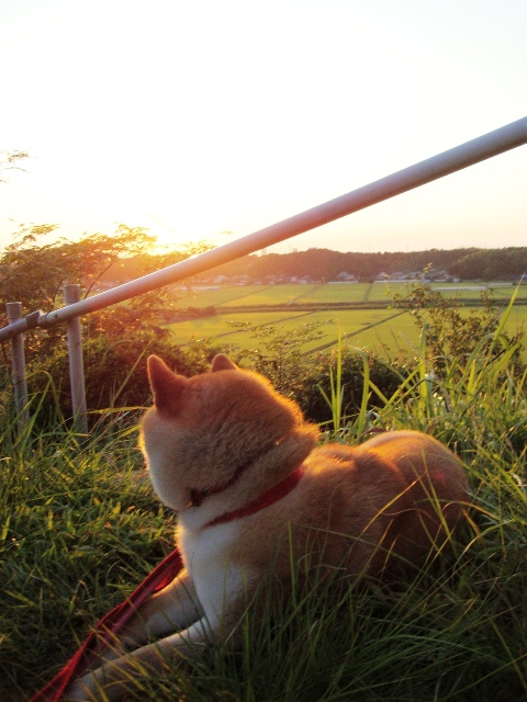 影法師_a0126590_23131771.jpg