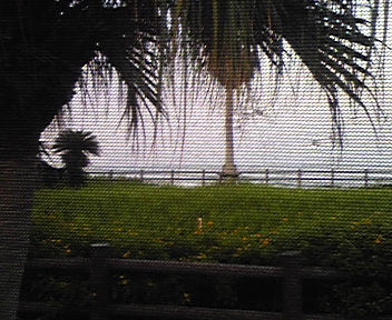 d0020993_1844313.jpg