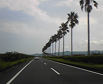 d0020993_1844384.jpg