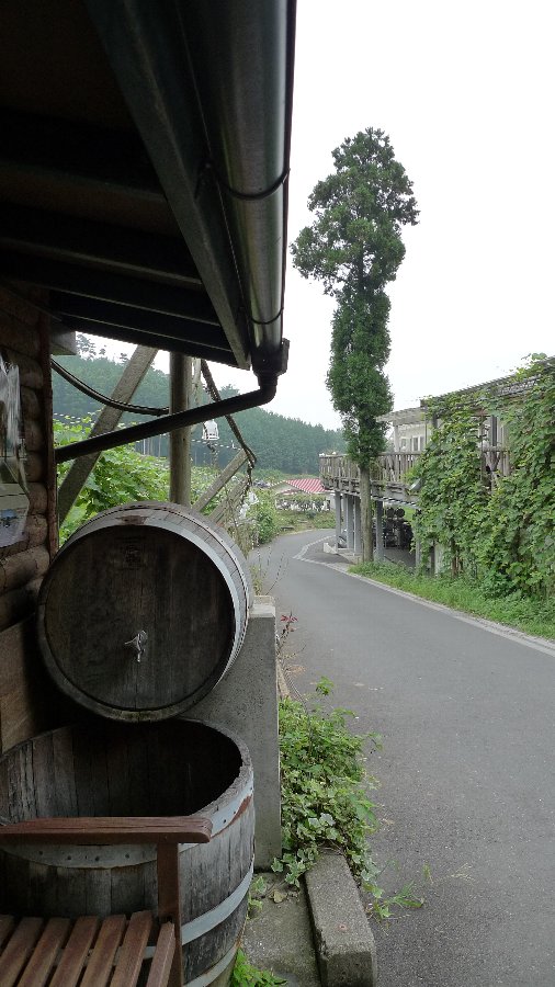 c0124795_01141.jpg
