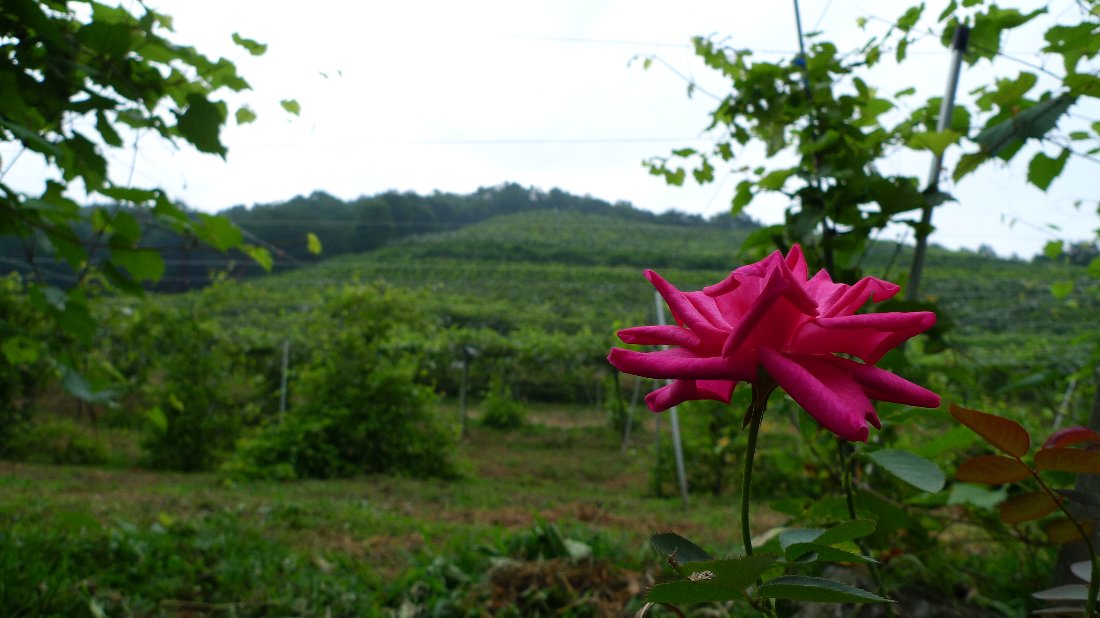c0124795_0123729.jpg