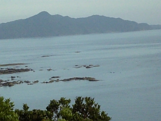 f0116297_1135219.jpg