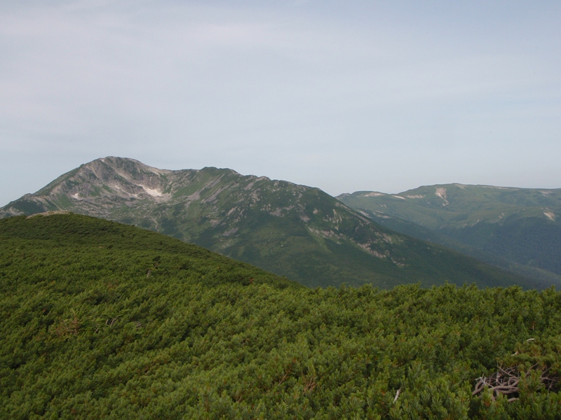 c0147398_23501173.jpg