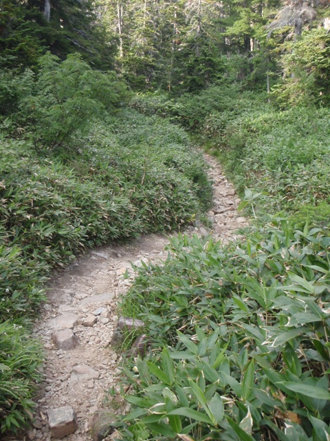 c0147398_2353169.jpg
