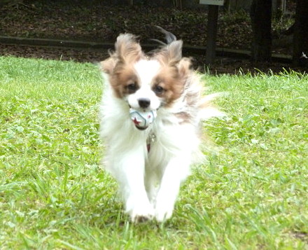 c0044199_2214363.jpg