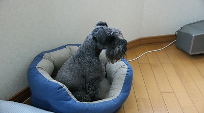 b0151504_20124537.jpg