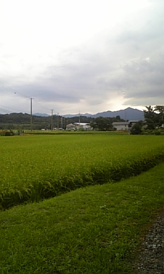 d0005807_75175.jpg