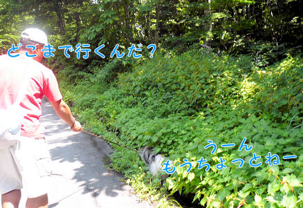 2009年夏旅行　新穂高－2－_f0112407_11253834.jpg