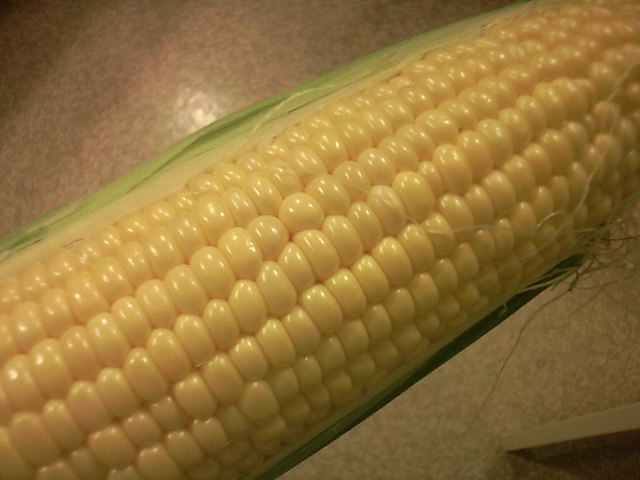 f0024708_23451579.jpg