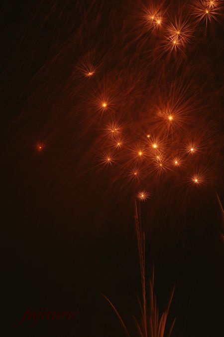 b0151409_21231314.jpg