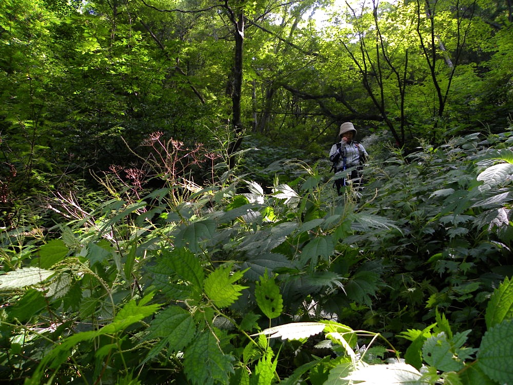 c0078410_7233217.jpg