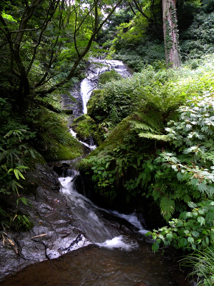 c0078410_7254811.jpg