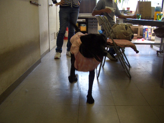 c0116610_12165995.jpg