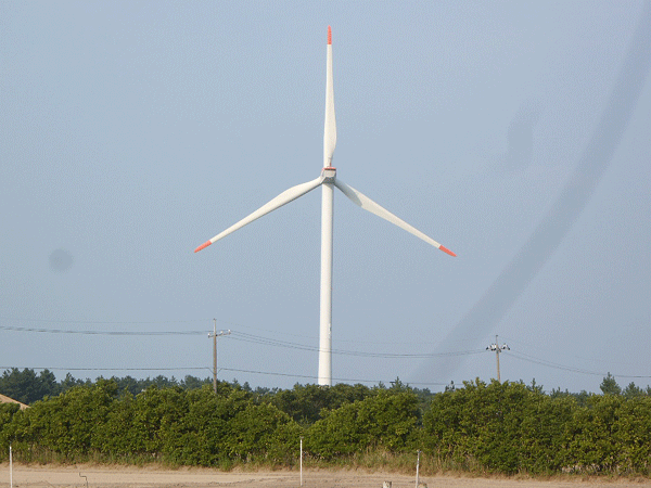 b0159611_1521559.gif
