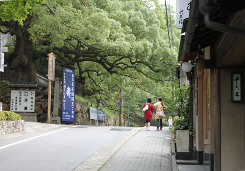 青蓮院 夏景色_e0048413_21204148.jpg